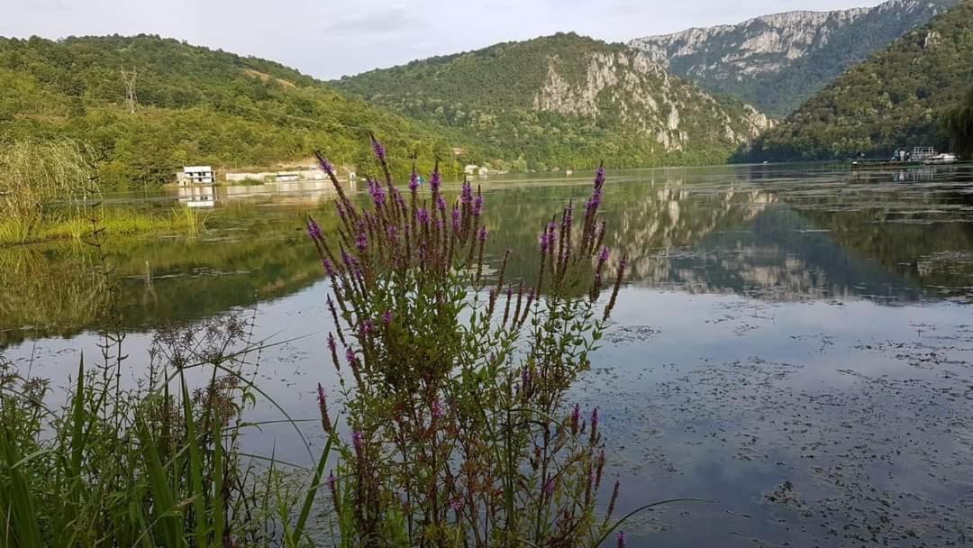 Ferienwohnung Casa Colt De Rai Ogradina Zimmer foto